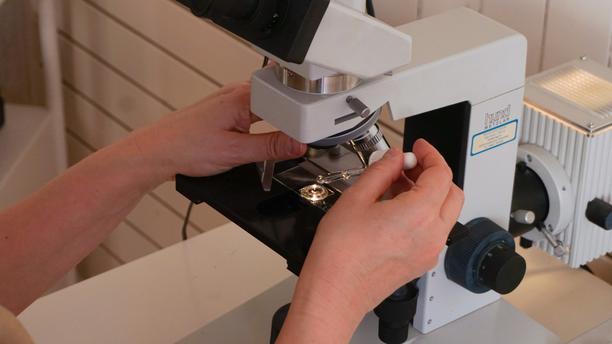 Dunkelfeld Blutuntersuchung