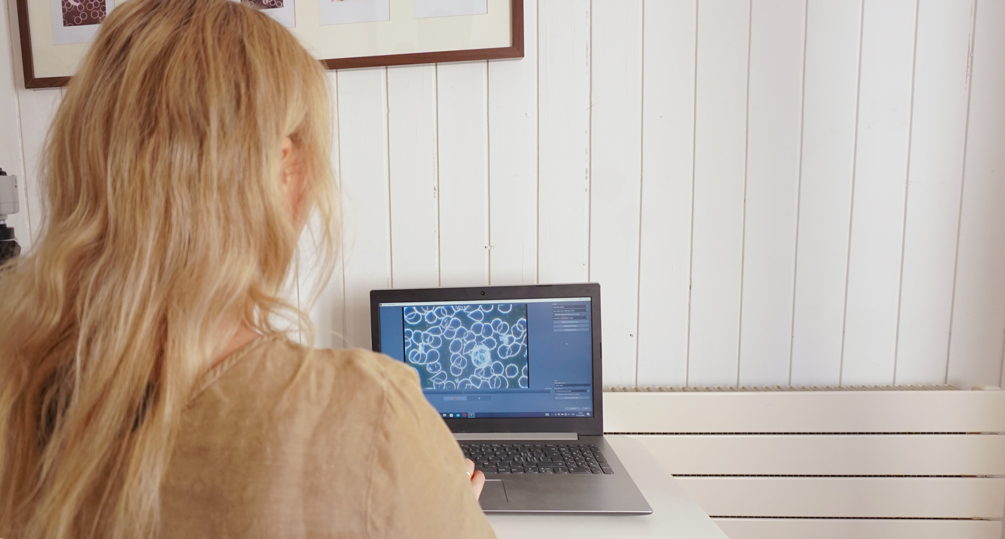 Dunkelfeld-Blutuntersuchung im Fokus